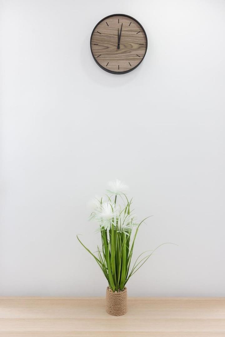 Apartment Le 29 - Emplacement Ideal Pour Ce T2 Épernay